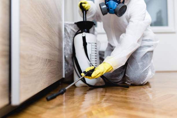Best Local Pest Control Services  in Flushing, MI