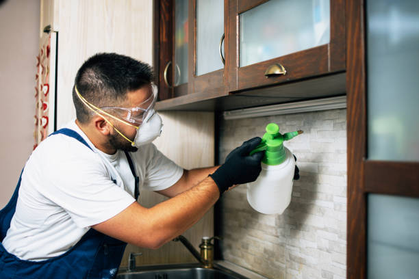 Wildlife Control Services in Flushing, MI