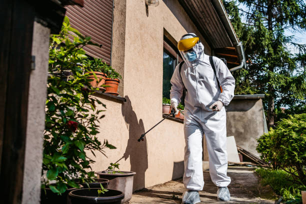 Best Pest Control Near Me  in Flushing, MI
