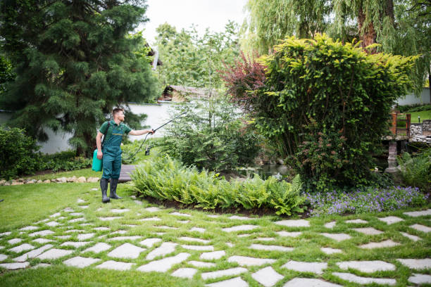 Trusted Flushing, MI Pest Control Experts