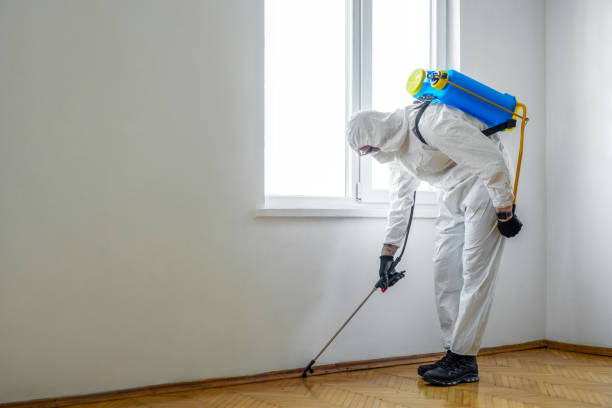 Best Bed Bug Extermination  in Flushing, MI