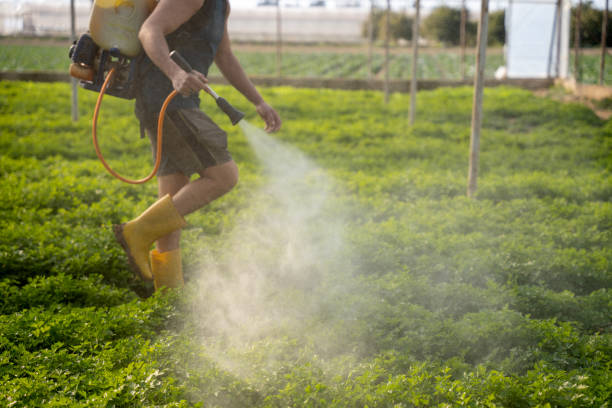 Best Wasp Removal Services  in Flushing, MI