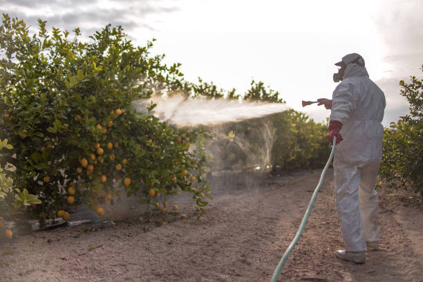 Best Wildlife Control Services  in Flushing, MI
