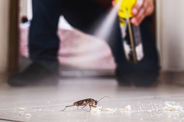 Professional Pest Control in Flushing, MI