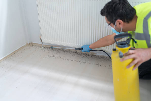 Best Rat Extermination Near Me  in Flushing, MI